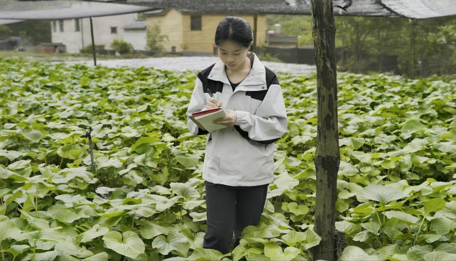 太上头了🤤，这个蘸料经管人研发的！ 第 4 张