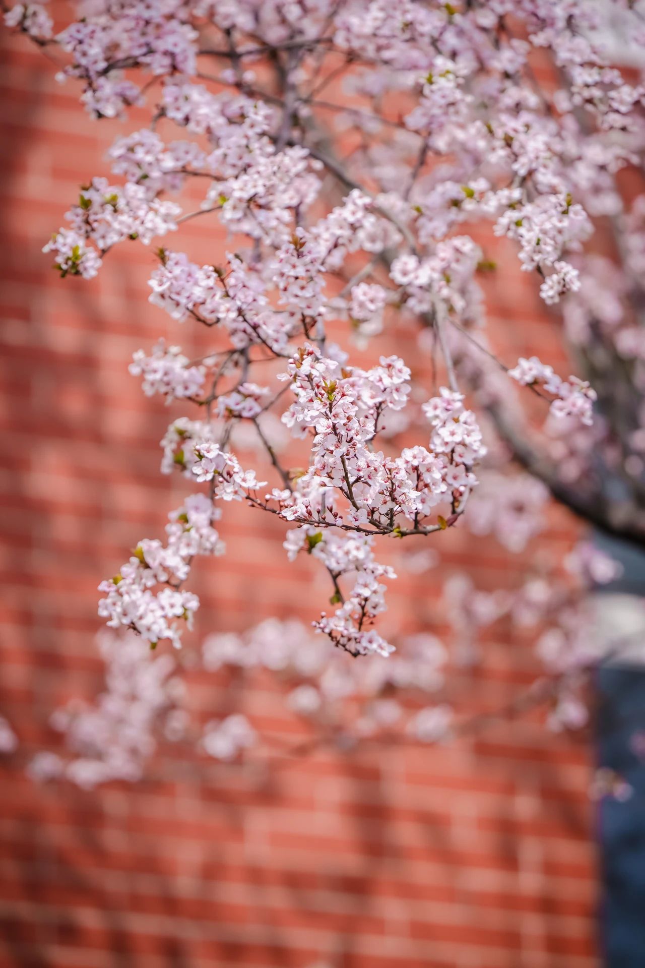 云南经济管理学院春季学期开学！ 第 10 张