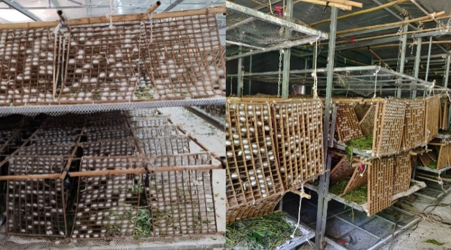 暑期社会实践 | 绿动青春沃野间--水源区固废循环利用实践队纪实 第 2 张