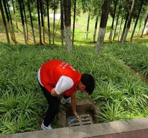 学院资讯 | 青年志愿者协会宁湖公园卫生清扫志愿服务活动圆满完成 第 4 张